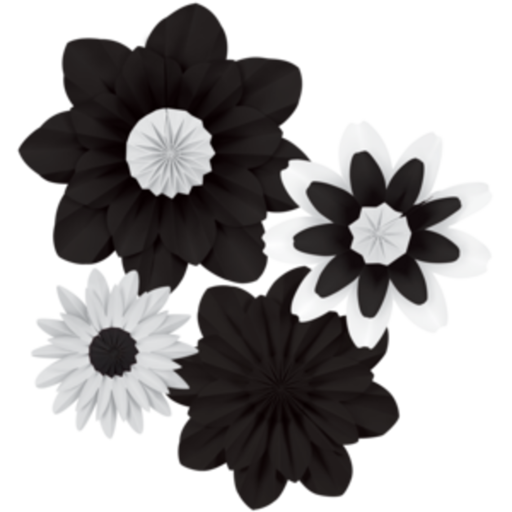 Teacher Created Resources Black and White Paper Flowers [TCR8351]