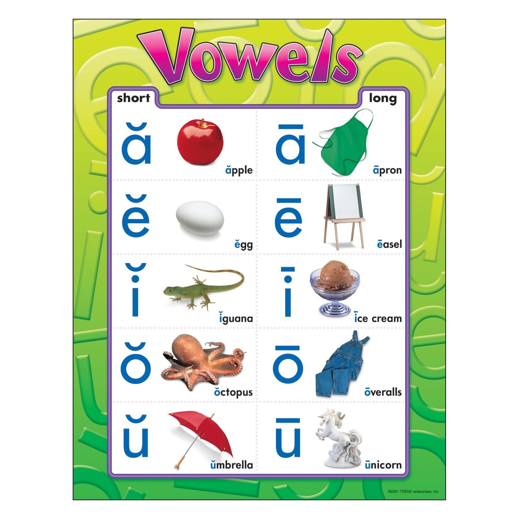 Trend Enterprises Vowels Learning Chart 17 x 22 [T38032]