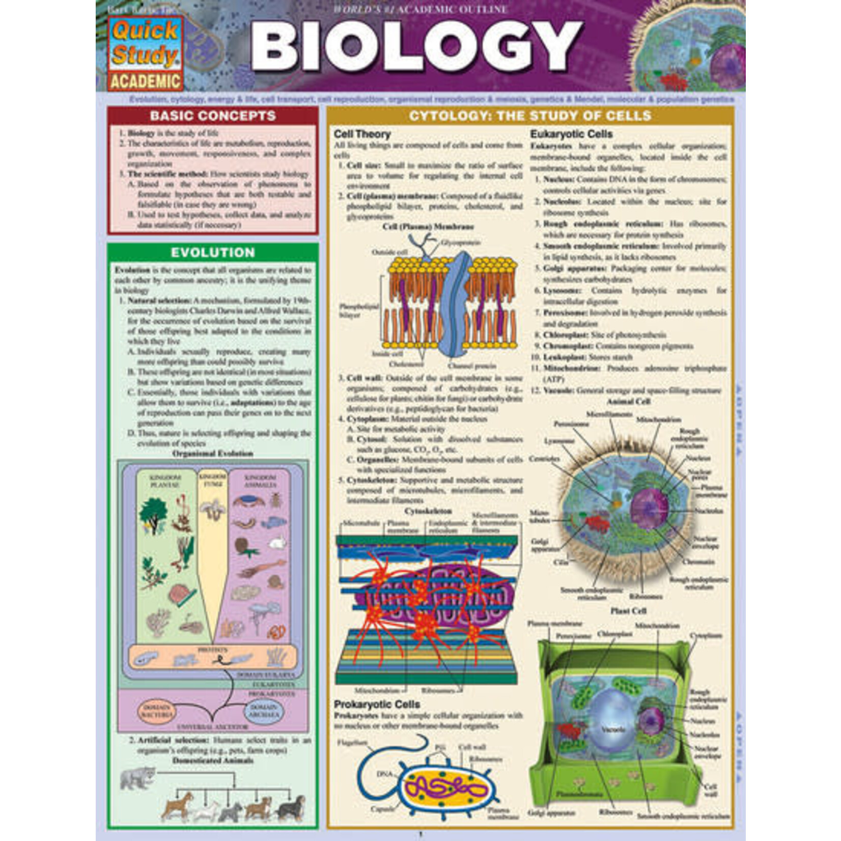 QuickStudy QuickStudy | Biology Laminated Study Guide [219538]