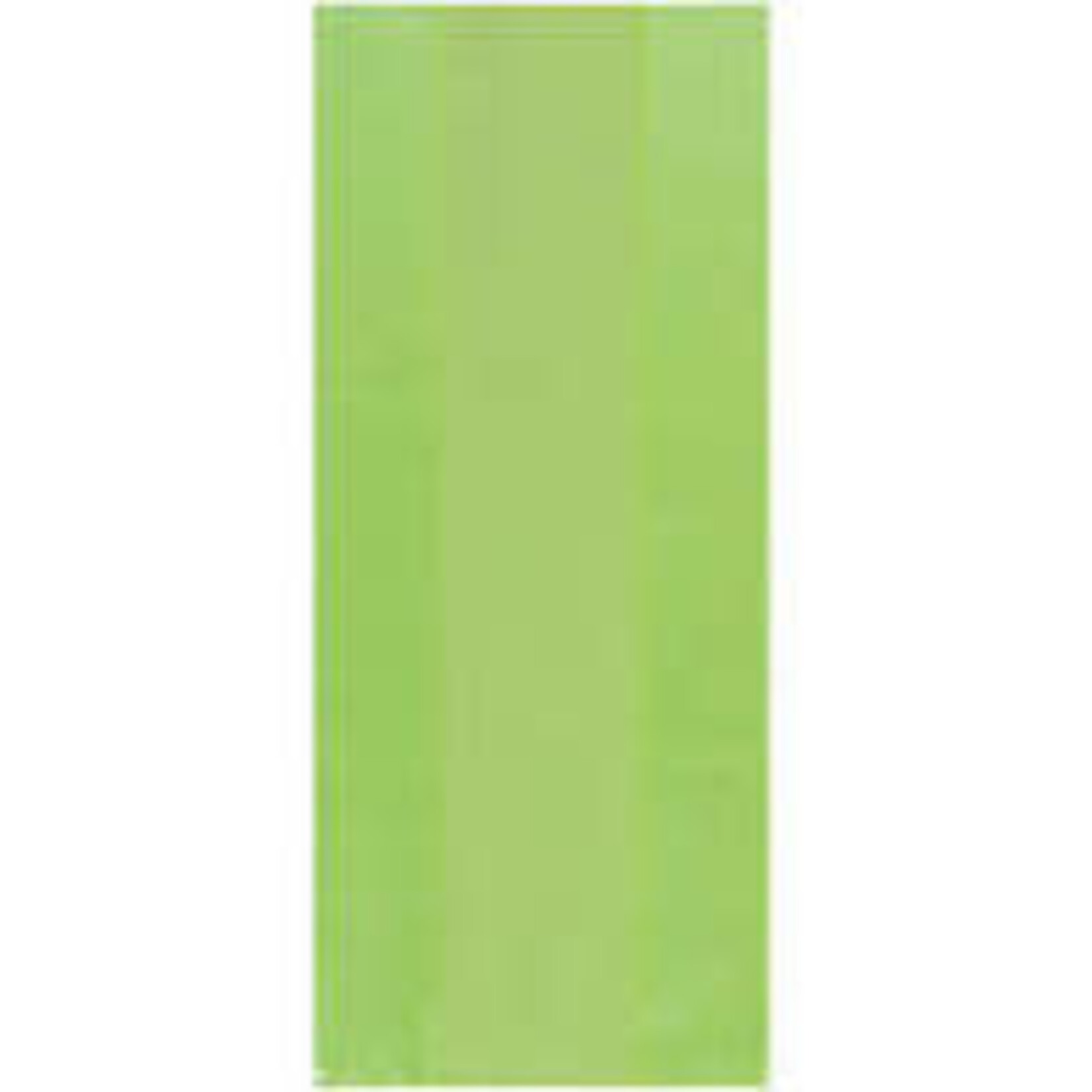 AMSCAN PARTY BAGS LIME GREEN - 25 COUNT [379510.53]