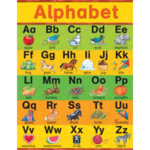 Teacher Created Resources Alphabet Chart from Susan Winget 17x22 [TCR7635]
