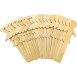 Teacher Created Resources STEM Basics: People-Shaped Craft Sticks - 50 count [TCR20951]