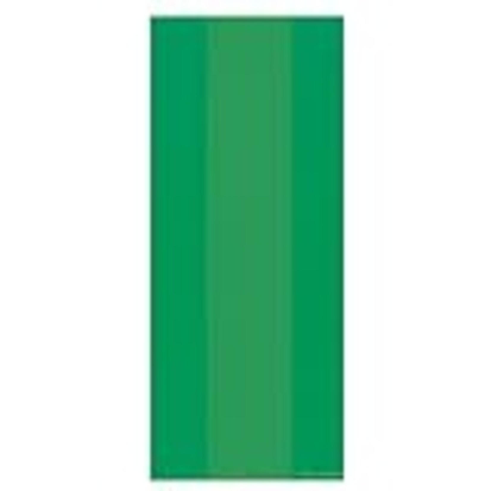 AMSCAN PARTY BAGS GREEN - 25 COUNT [379510.03]