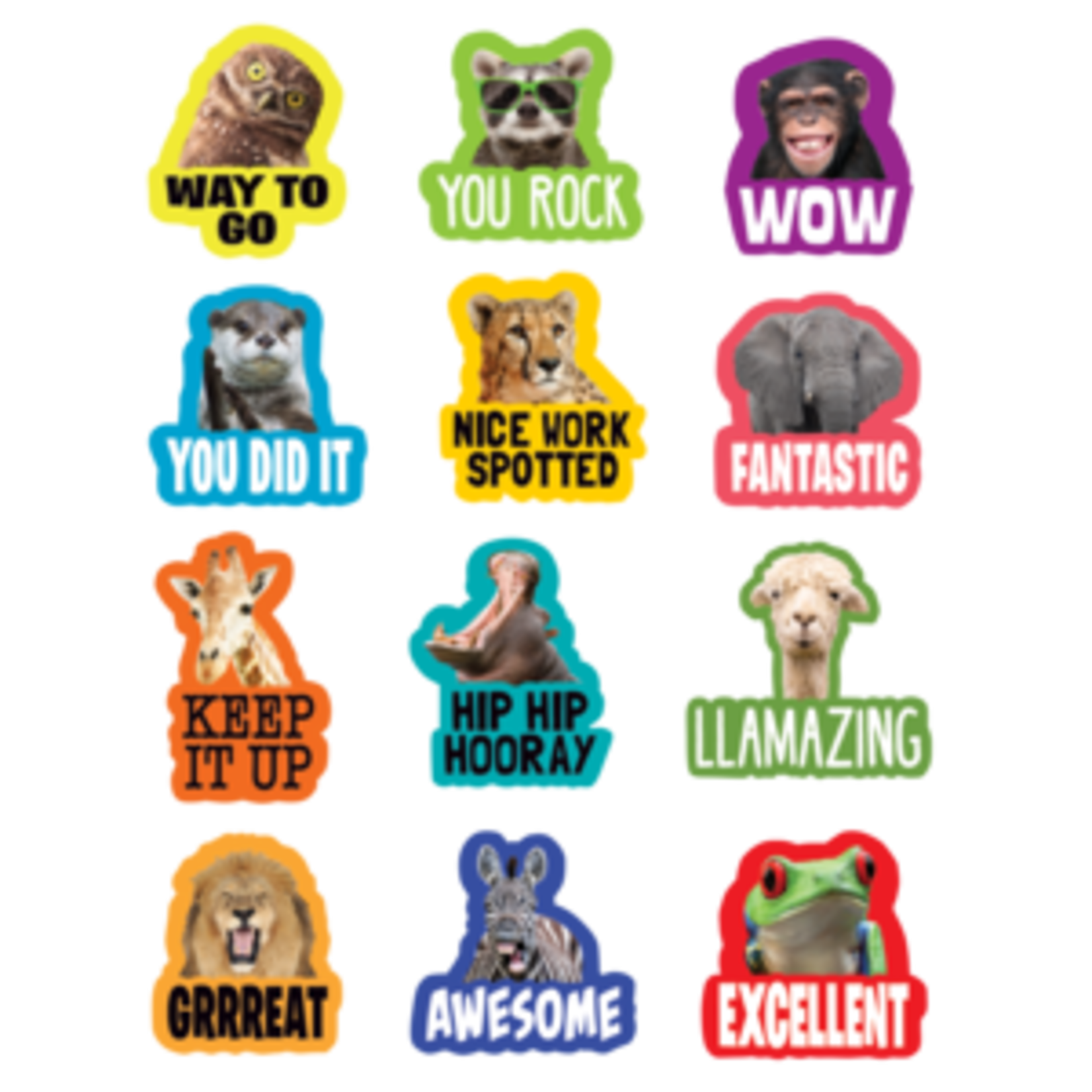 Teacher Created Resources Go Wild Animals Stickers [TCR6855]