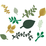 Teacher Created Resources Green and Gold Paper Leaves [TCR8557]