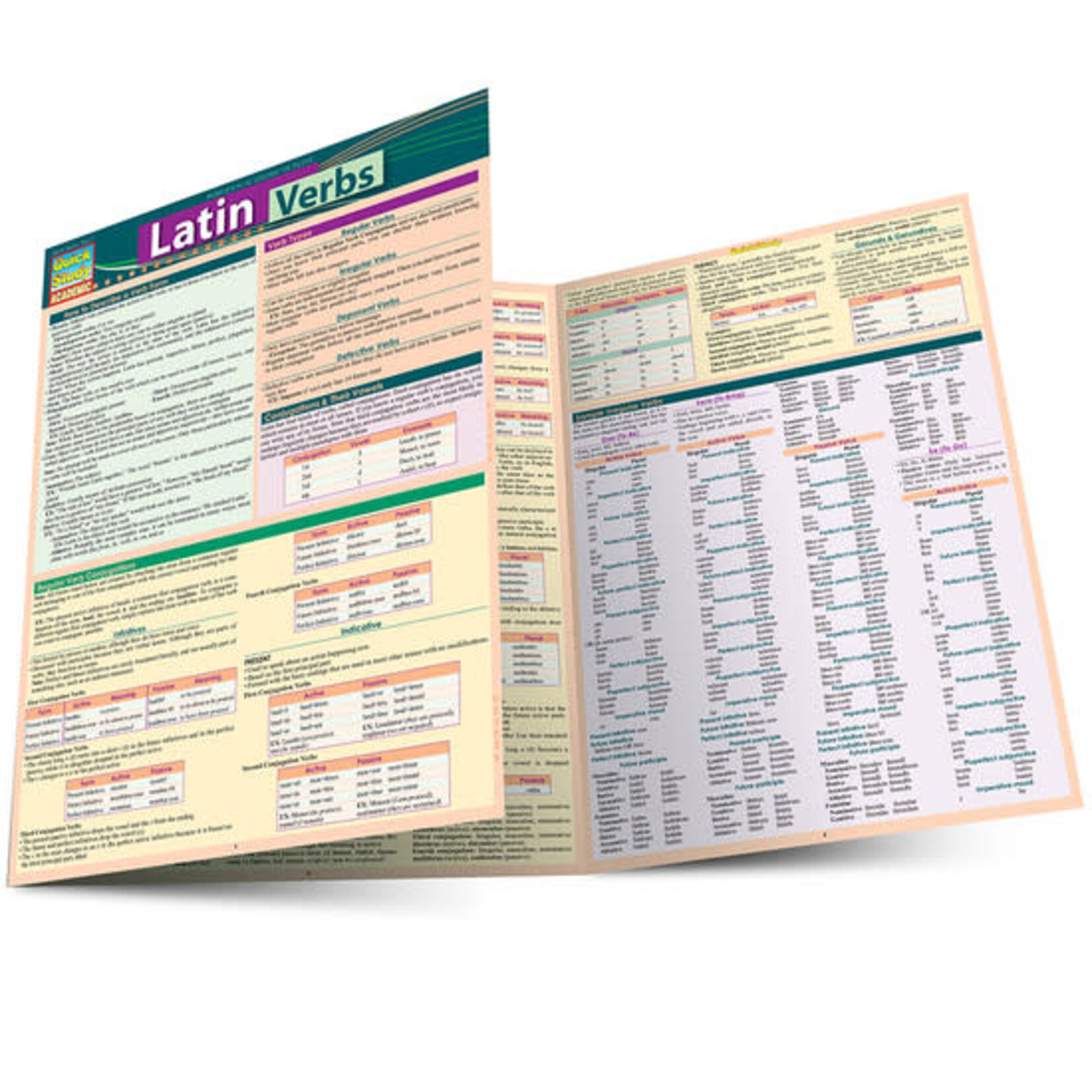 QuickStudy QuickStudy | LATIN VERBS [234760]
