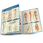 QuickStudy QuickStudy | ANATOMY 2 [228566]