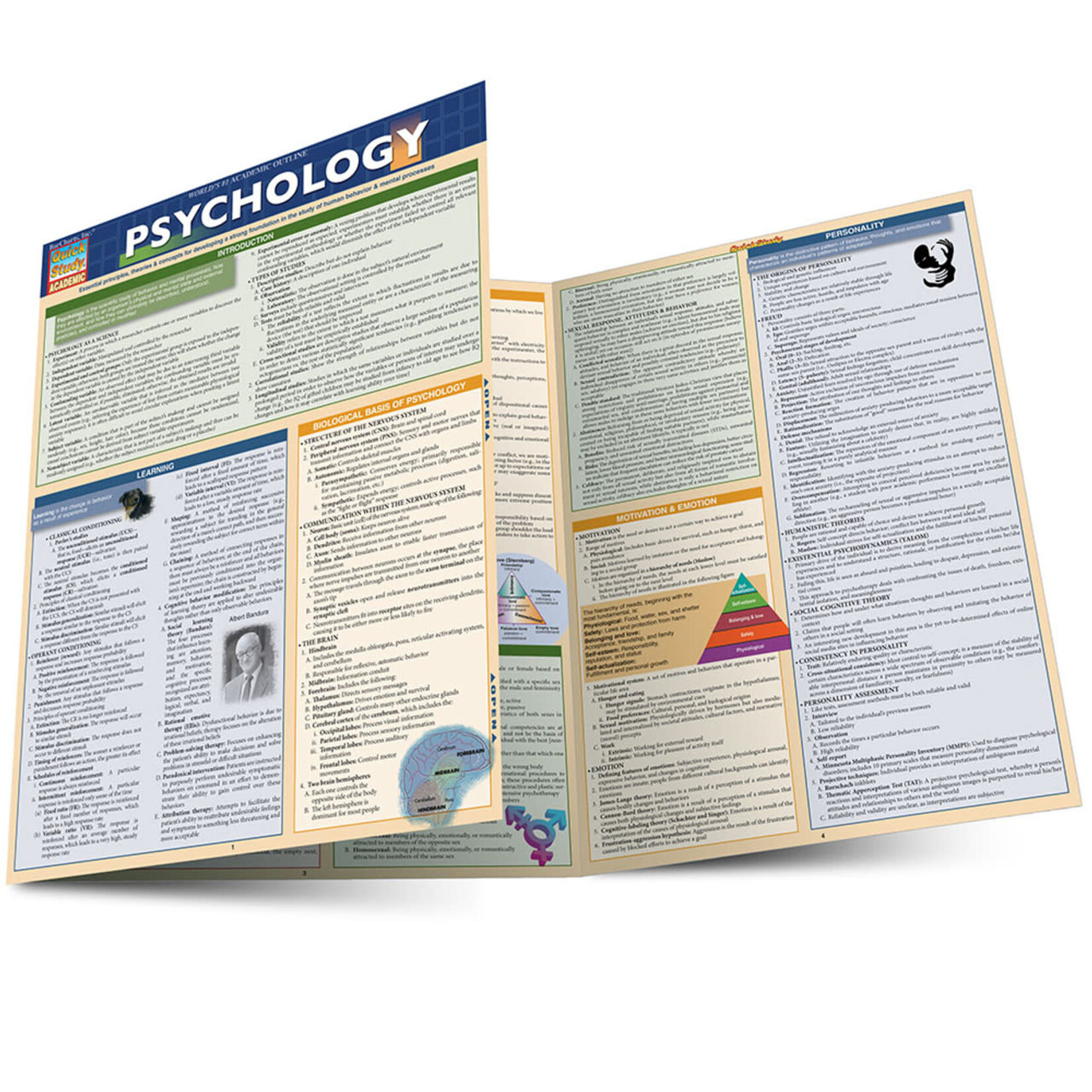 QuickStudy QuickStudy | PSYCHOLOGY [219620]