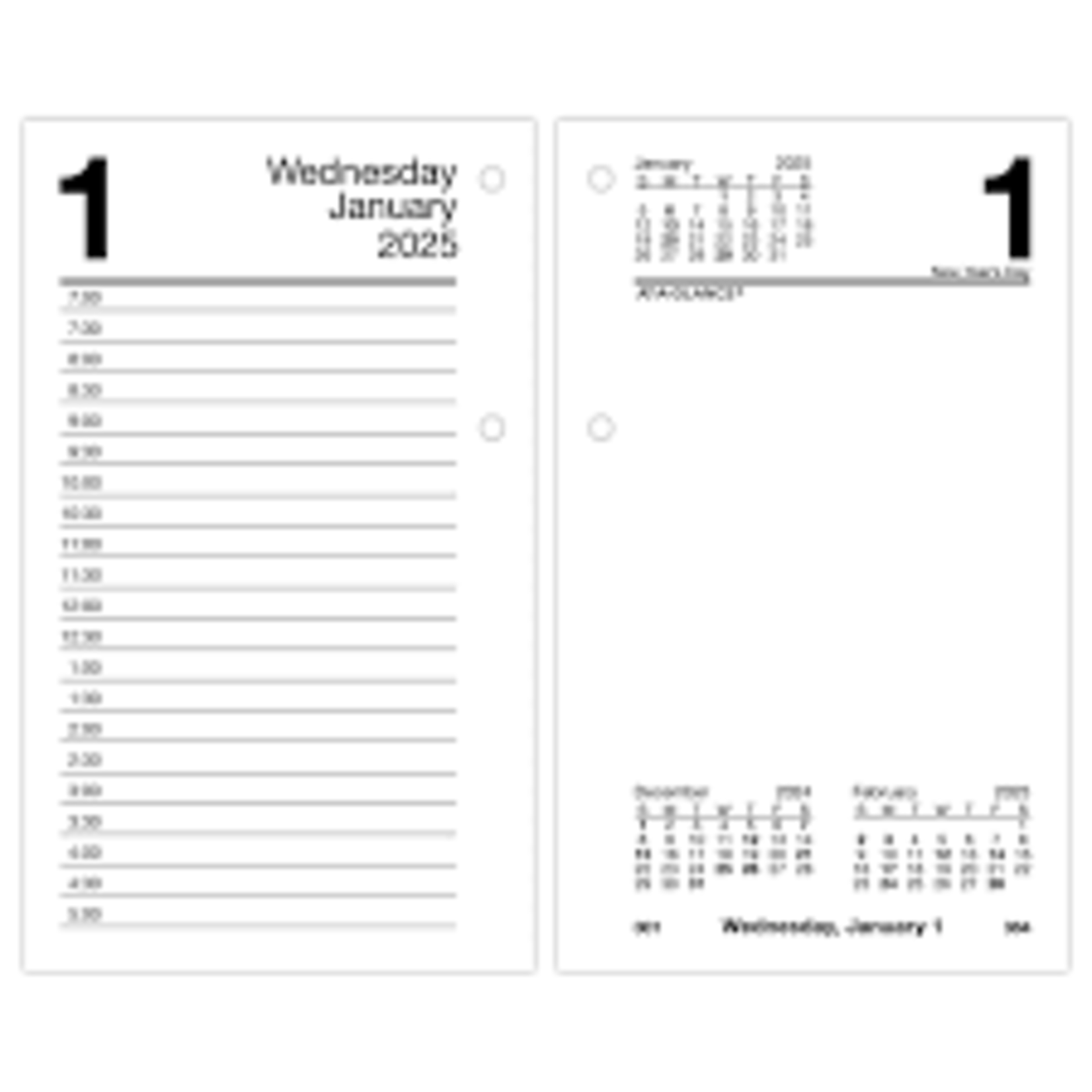 AT-A-GLANCE AT-A-GLANCE Daily Loose-Leaf Desk Calendar Refills, 3-1/2" x 6" 2025 [E7175025]