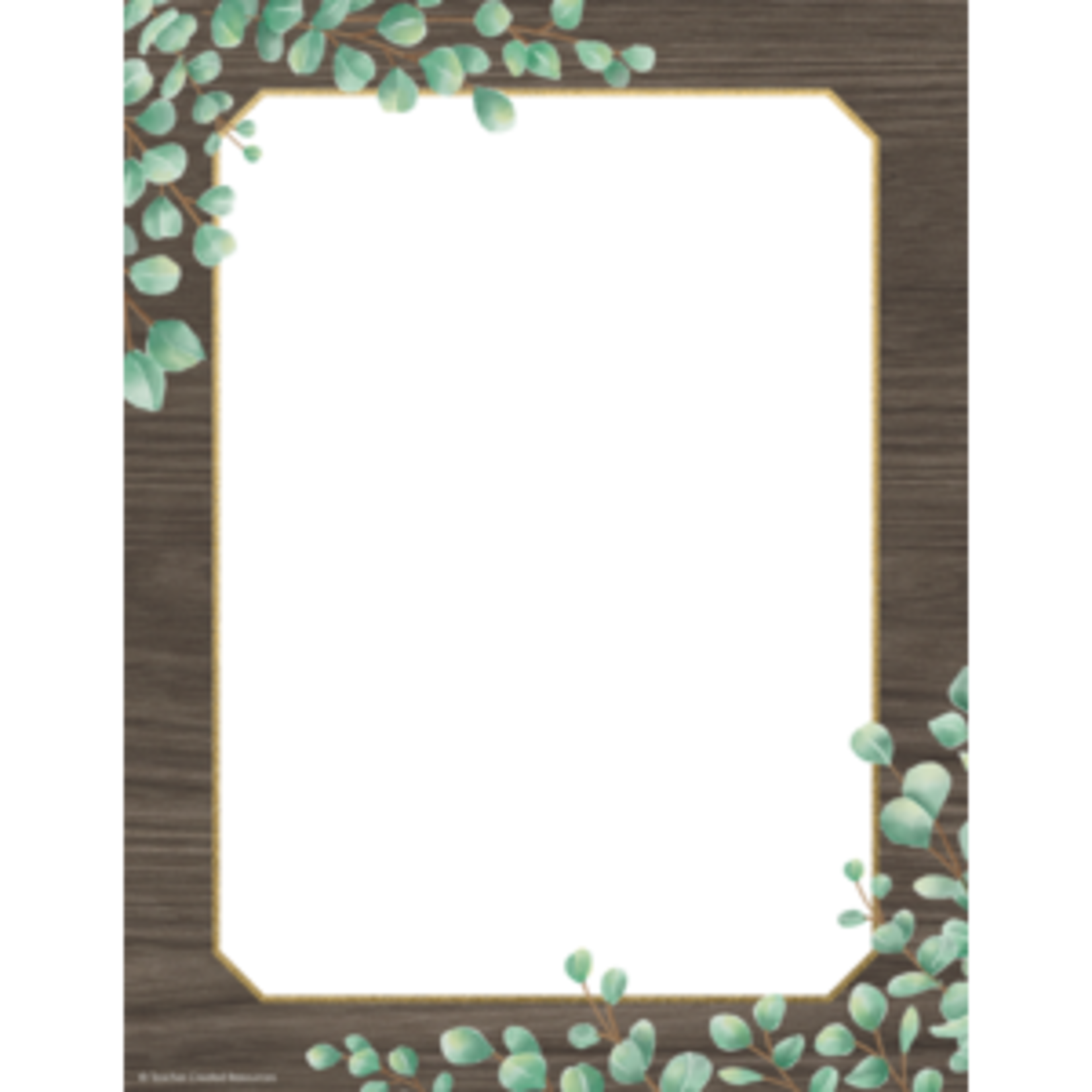 Teacher Created Resources Eucalyptus Computer Paper [TCR8699]