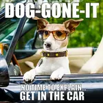 WILLOW CREEK PRESS Dog-Gone-It Book [48628]