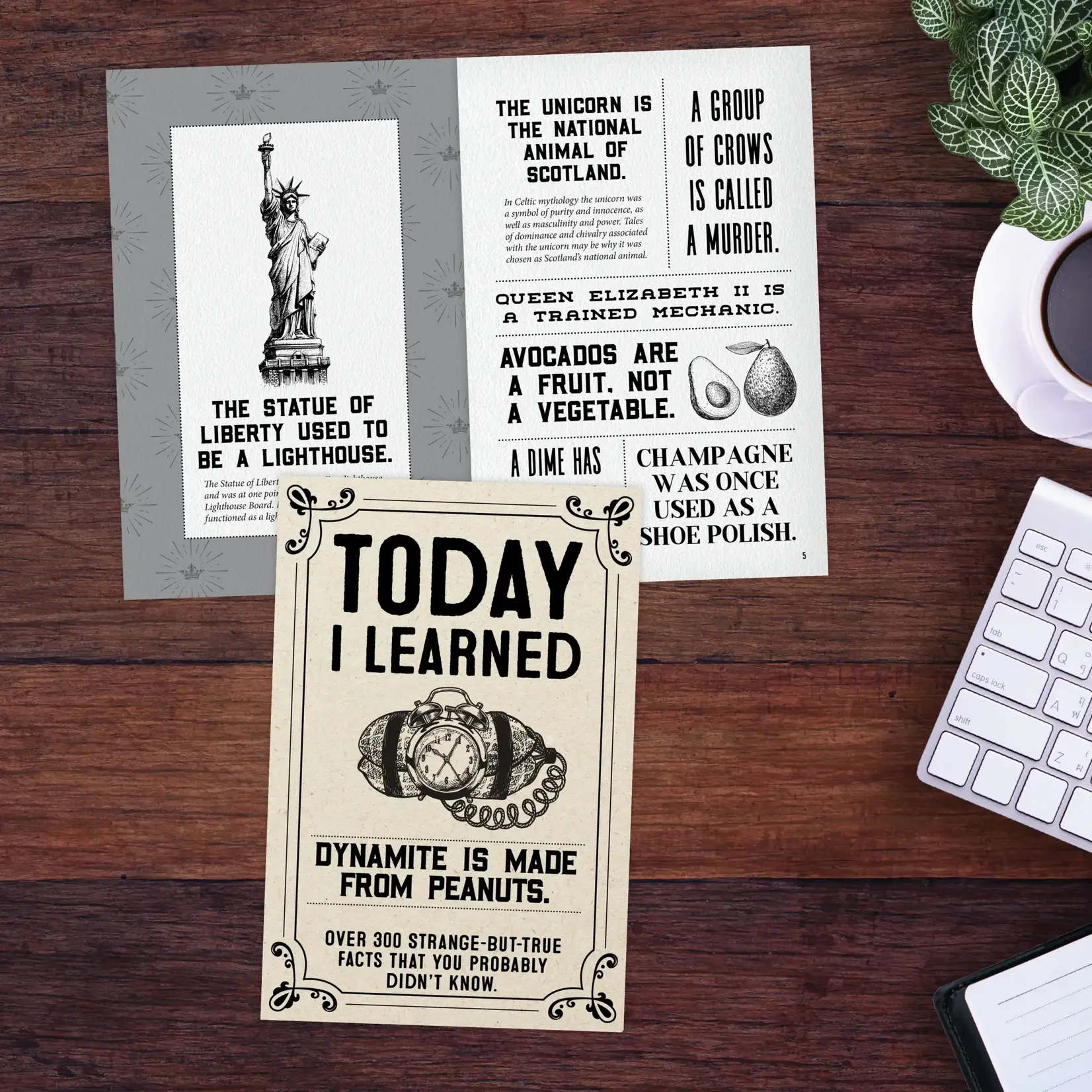 WILLOW CREEK PRESS Today I Learned Book (Softcover) [49410]