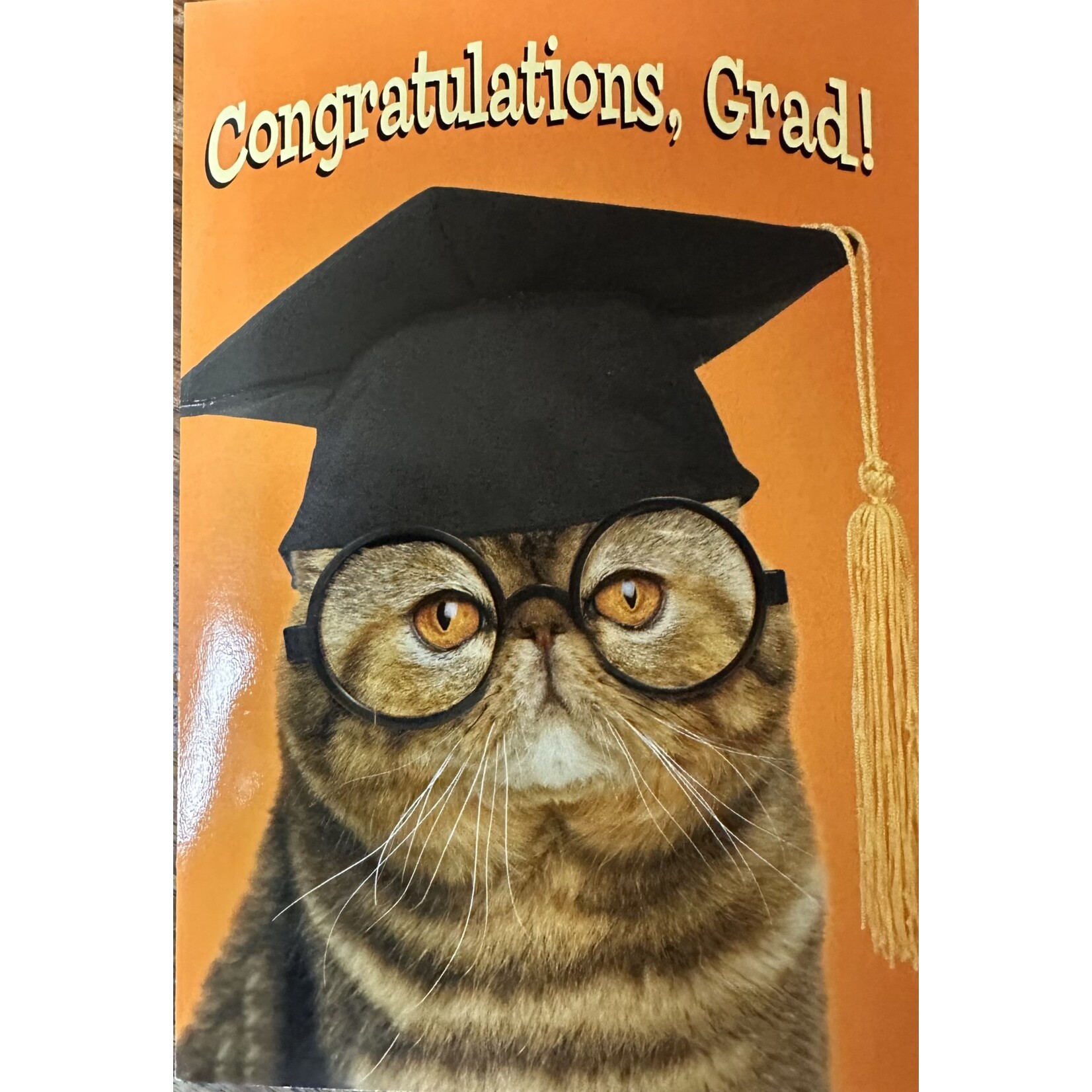 LEANIN TREE Congratulations Cat Graduation Greeting Card [GRT32101]