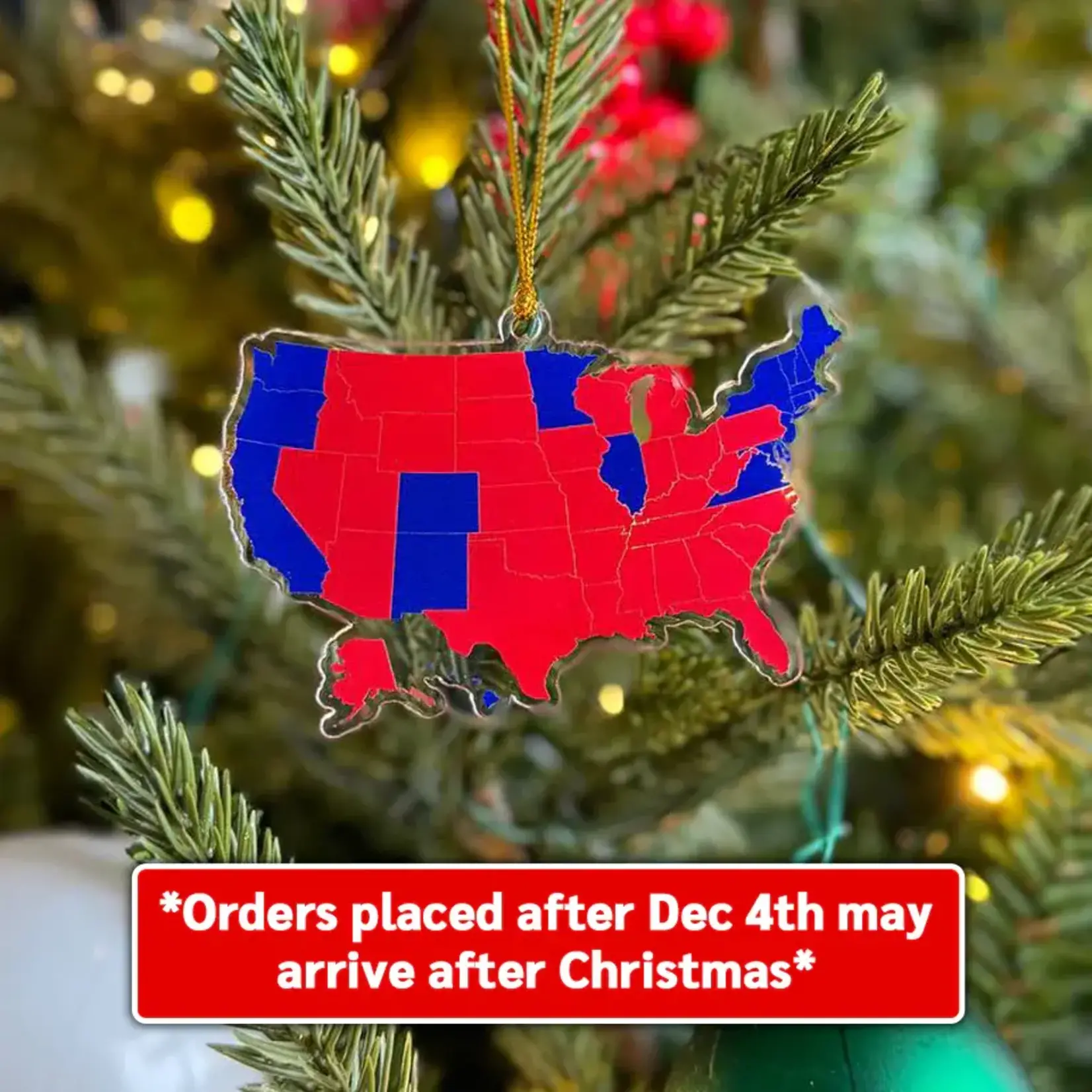 BENNYJOHNSON.COM Election Map Acrylic Ornament 3.5"x 2.5" [cB6SGfWlQ]