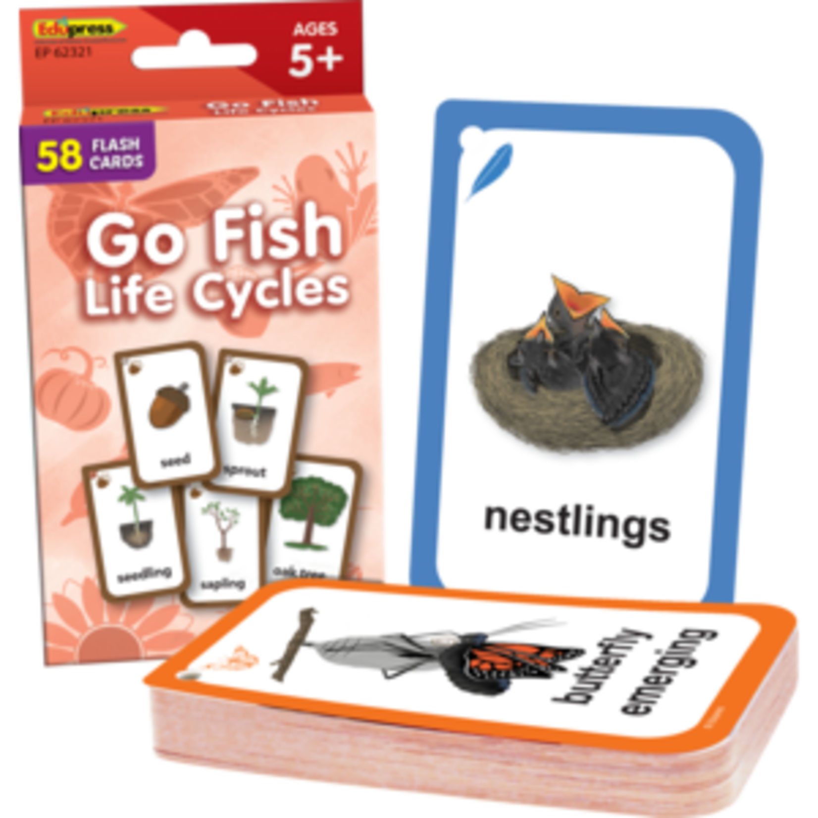 Teacher Created Resources Go Fish: Life Cycles Flash Cards [TCR62321]