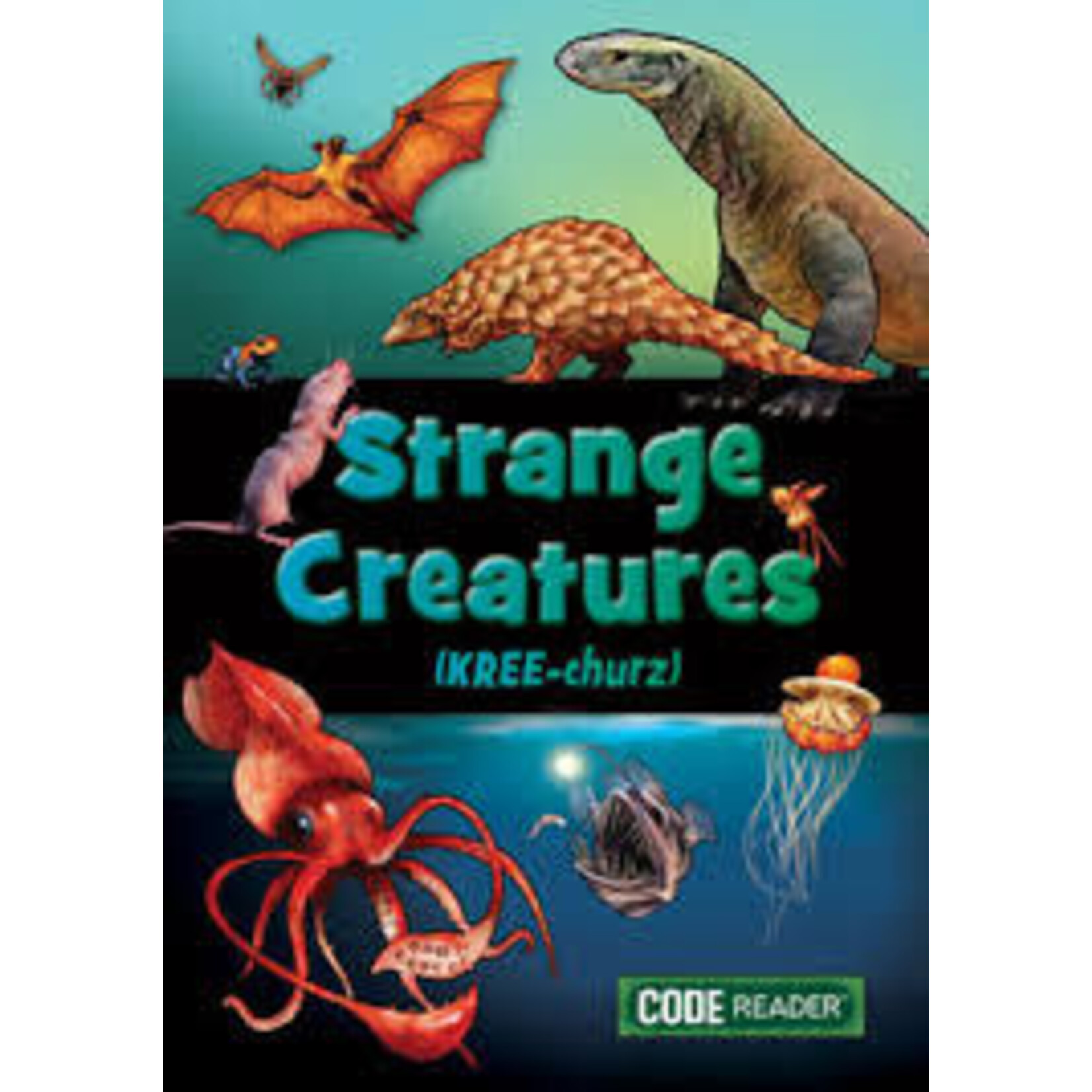 Treasure Bay Code Reader: Strange Creatures [9781601157300]