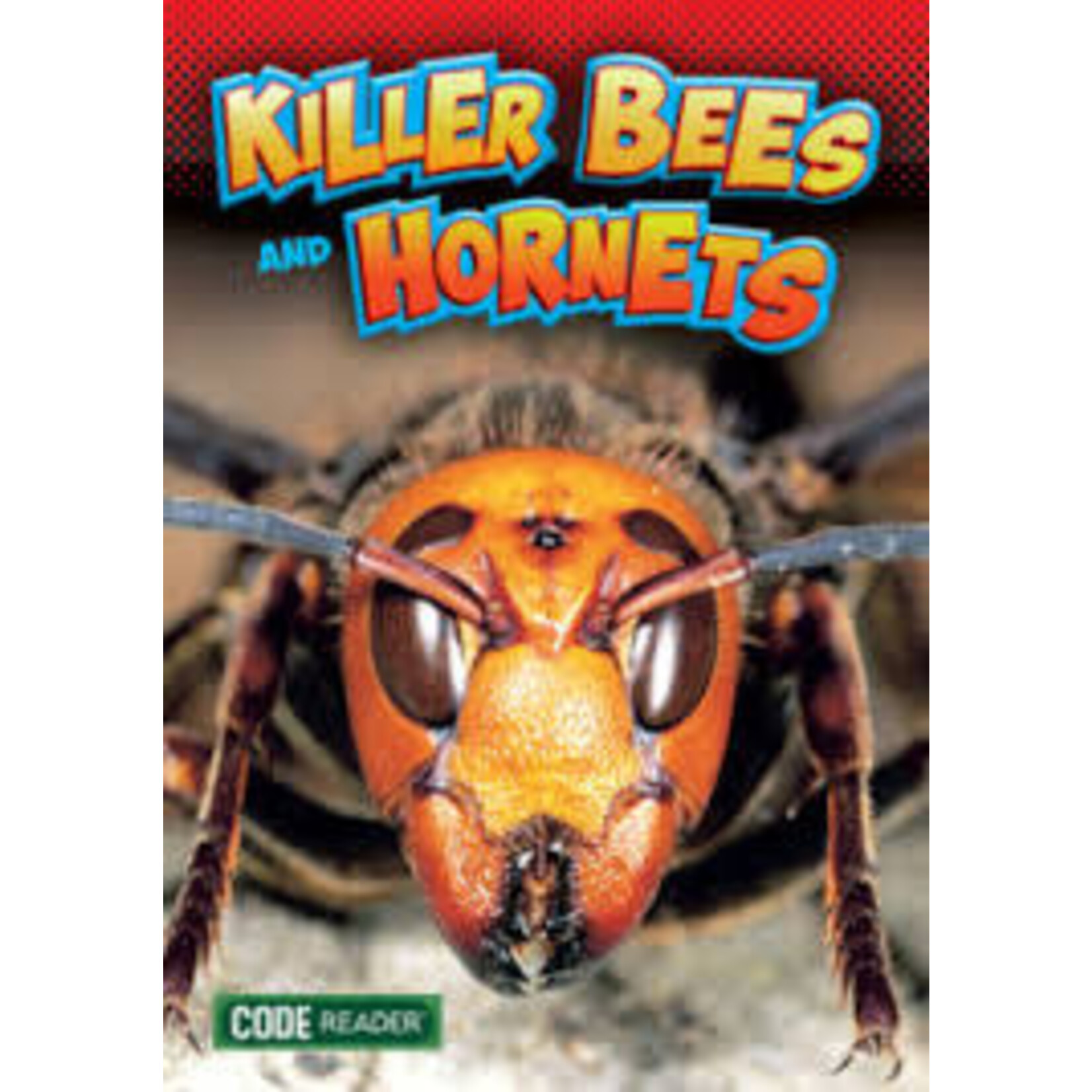 Treasure Bay Code Reader: Killer Bees and Hornets [9781601157263]