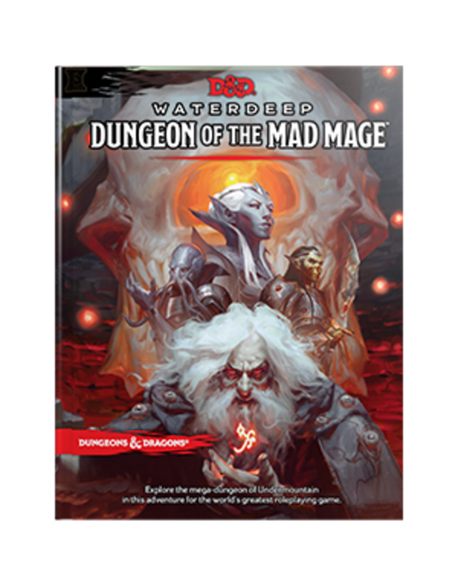 Wizards of the Coast Dungeons & Dragons: Dungeon of the Mad Mage