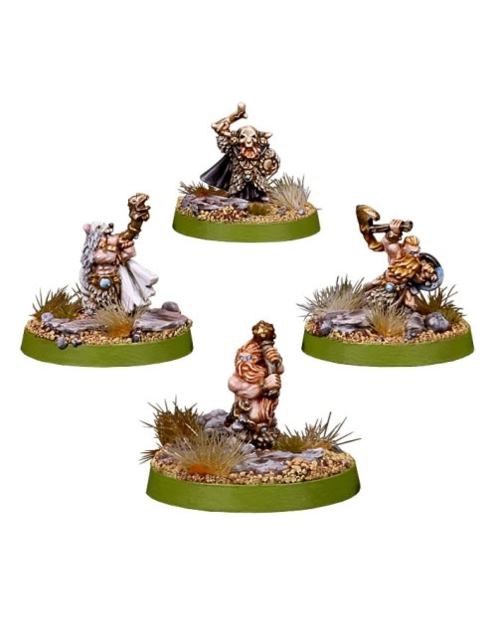 Spellcrow Northern Guard Heroes