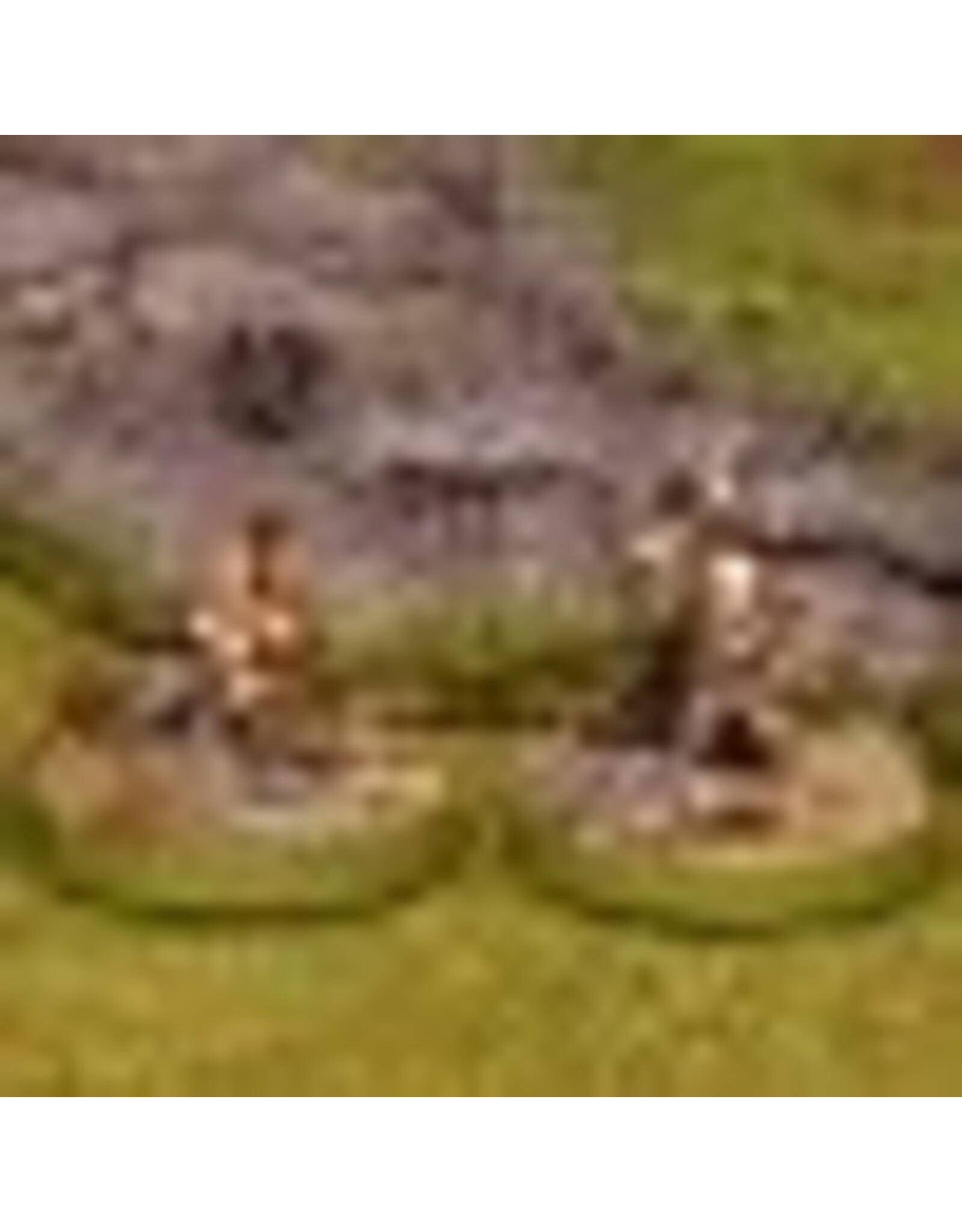 Spellcrow Northern Guard Heroes