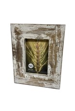 Wilco Home Inc. 4" x 6" Fairbanks Frame