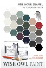 Wise Owl Paint One Hour Enamel Paint-Carbon Qt