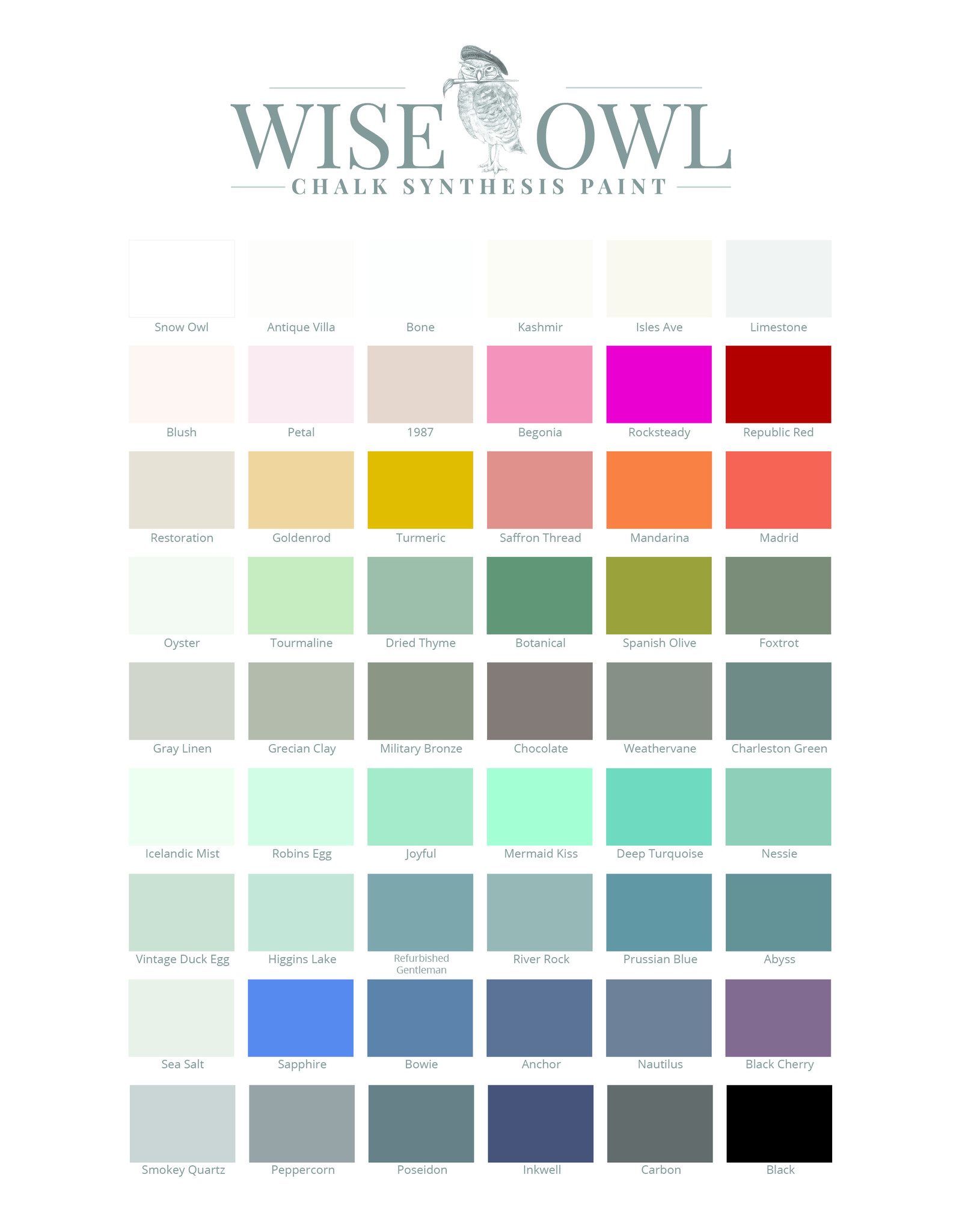Wise Owl Paint Chalk Synthesis Paint-Botanical Pint