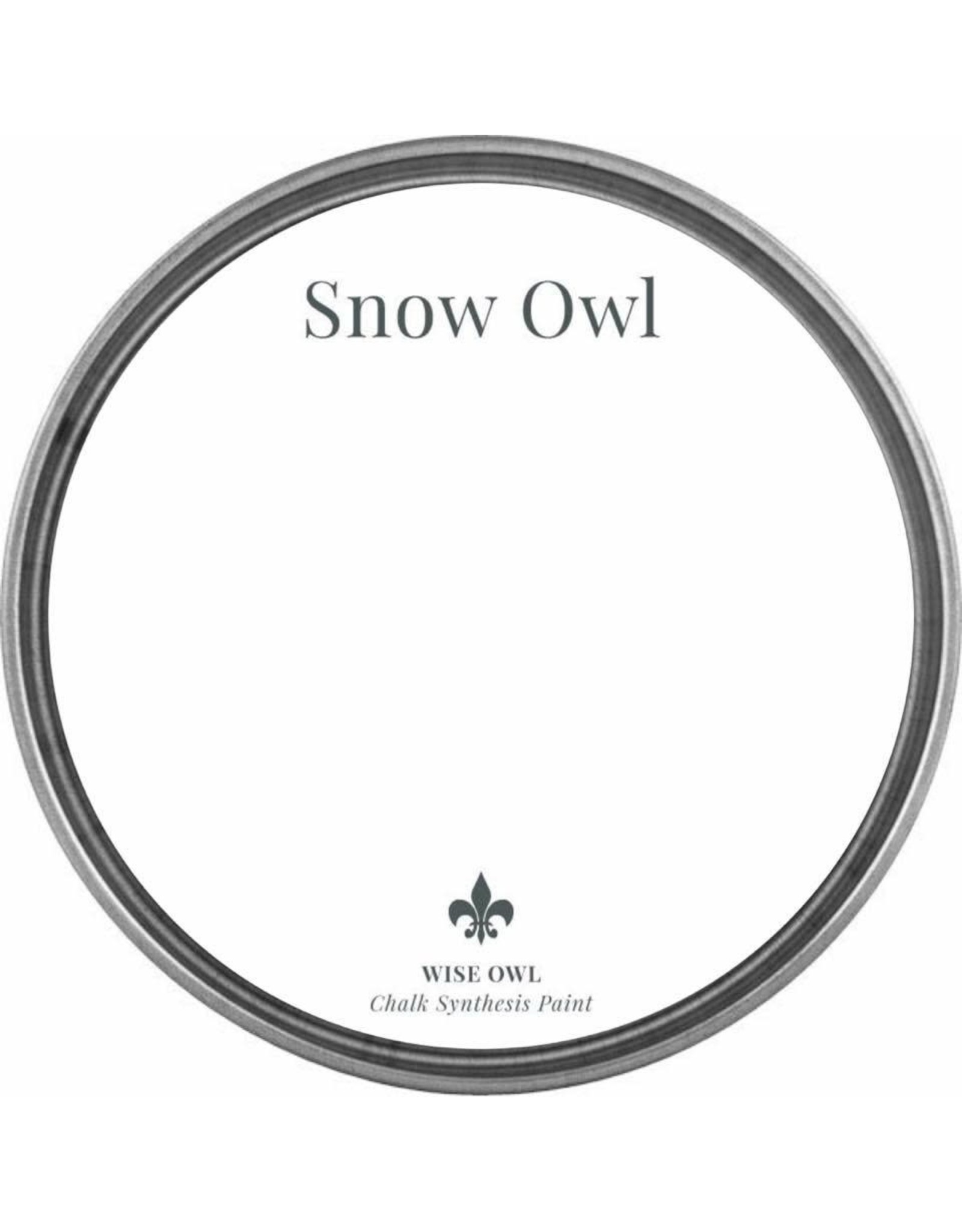 Wise Owl Paint One Hour Enamel Paint-Snow Owl Qt