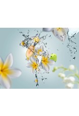 Maison Berger Aroma Happy Aquatic Freshness Reed Diffuser