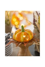 Evergreen Enterprises LED Ceramic Pumpkin Table Décor