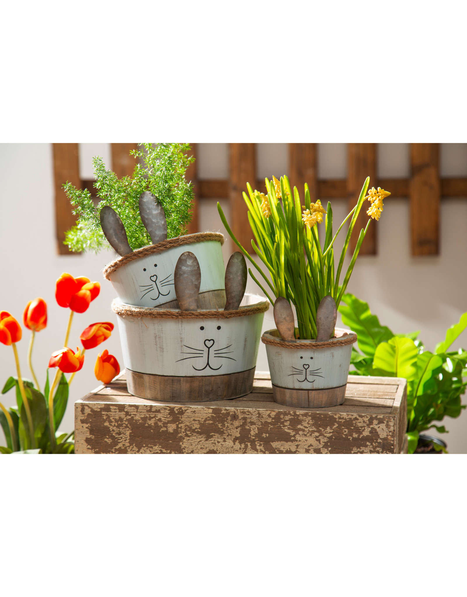 Evergreen Enterprises Wood Bunny Planter with Metal Ears, Set of 3