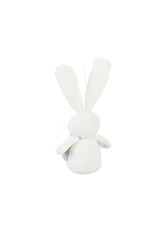 Evergreen Enterprises Bunny Ornaments- 2 Designs