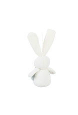 Evergreen Enterprises Bunny Ornaments