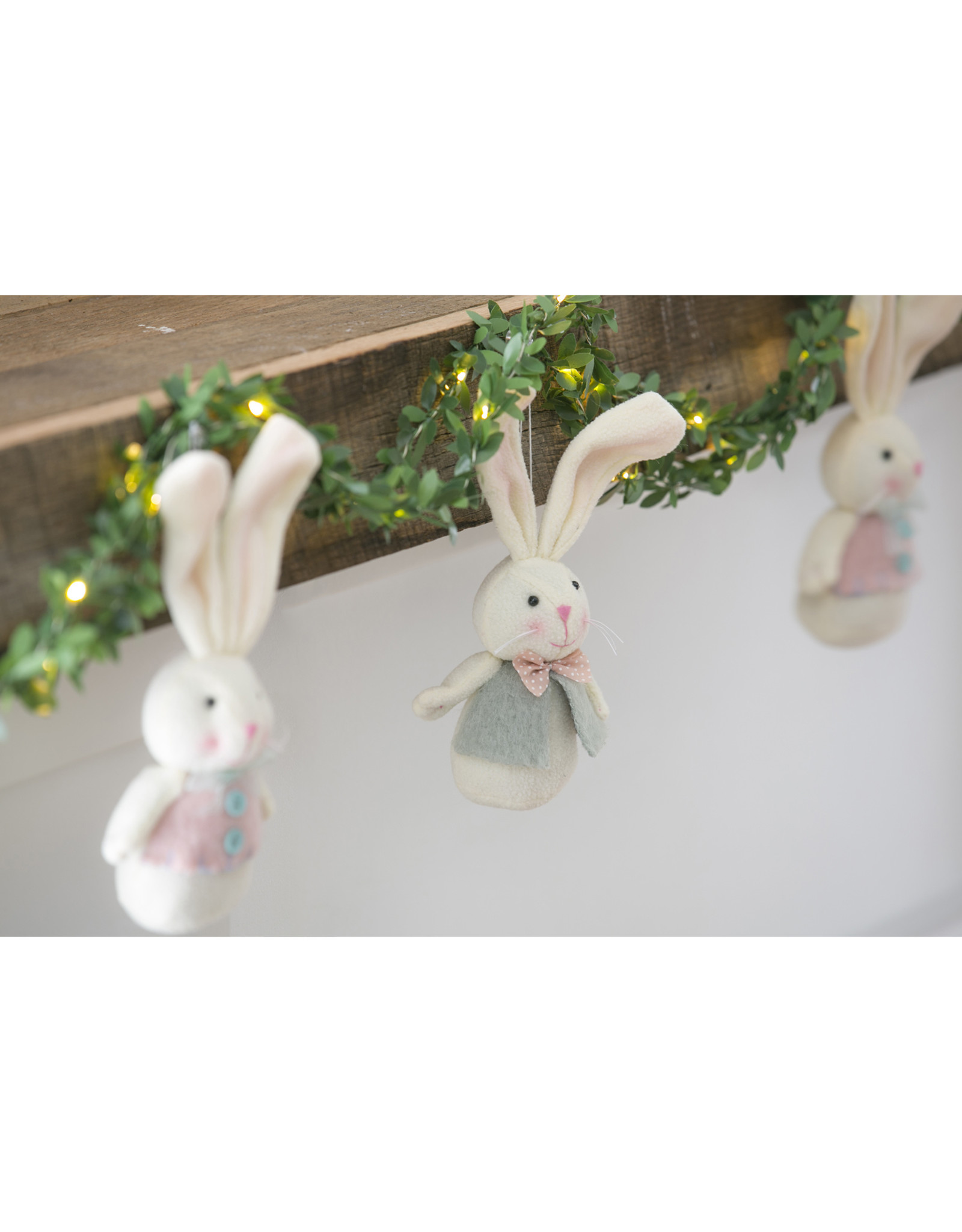 Evergreen Enterprises Bunny Ornaments- 2 Designs