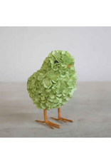 The Royal Standard Hydrangea Chick in Green