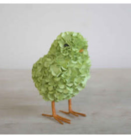 The Royal Standard Hydrangea Chick in Green