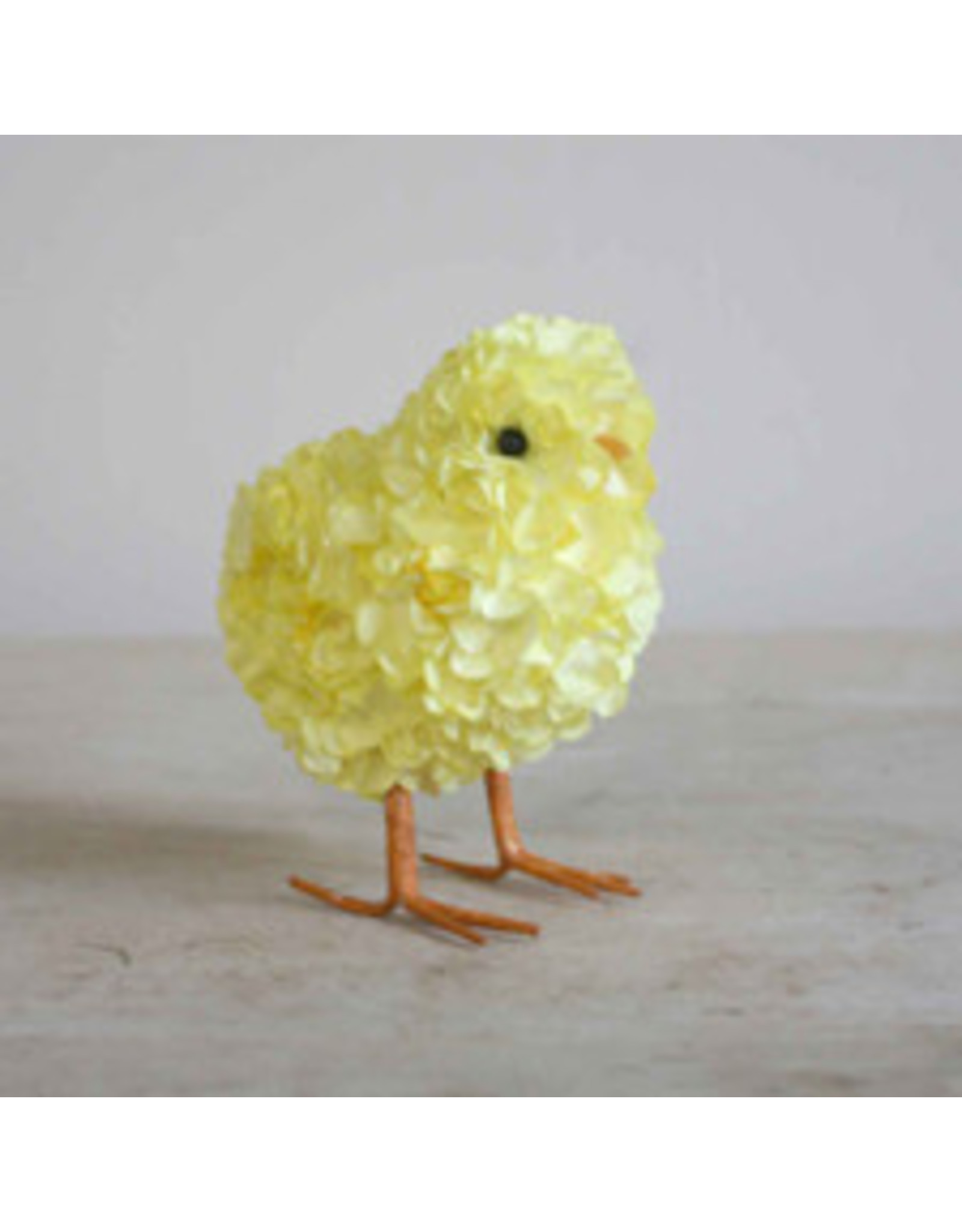 The Royal Standard Hydrangea Chick in Yellow