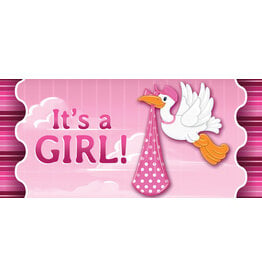 Evergreen Enterprises Stork With Special Delivery-Girl Sassafras Switch Mat