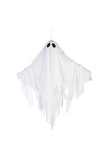 Evergreen Enterprises Animated Floating Ghost