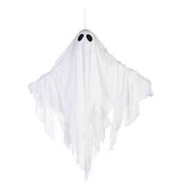 Evergreen Enterprises Animated Floating Ghost