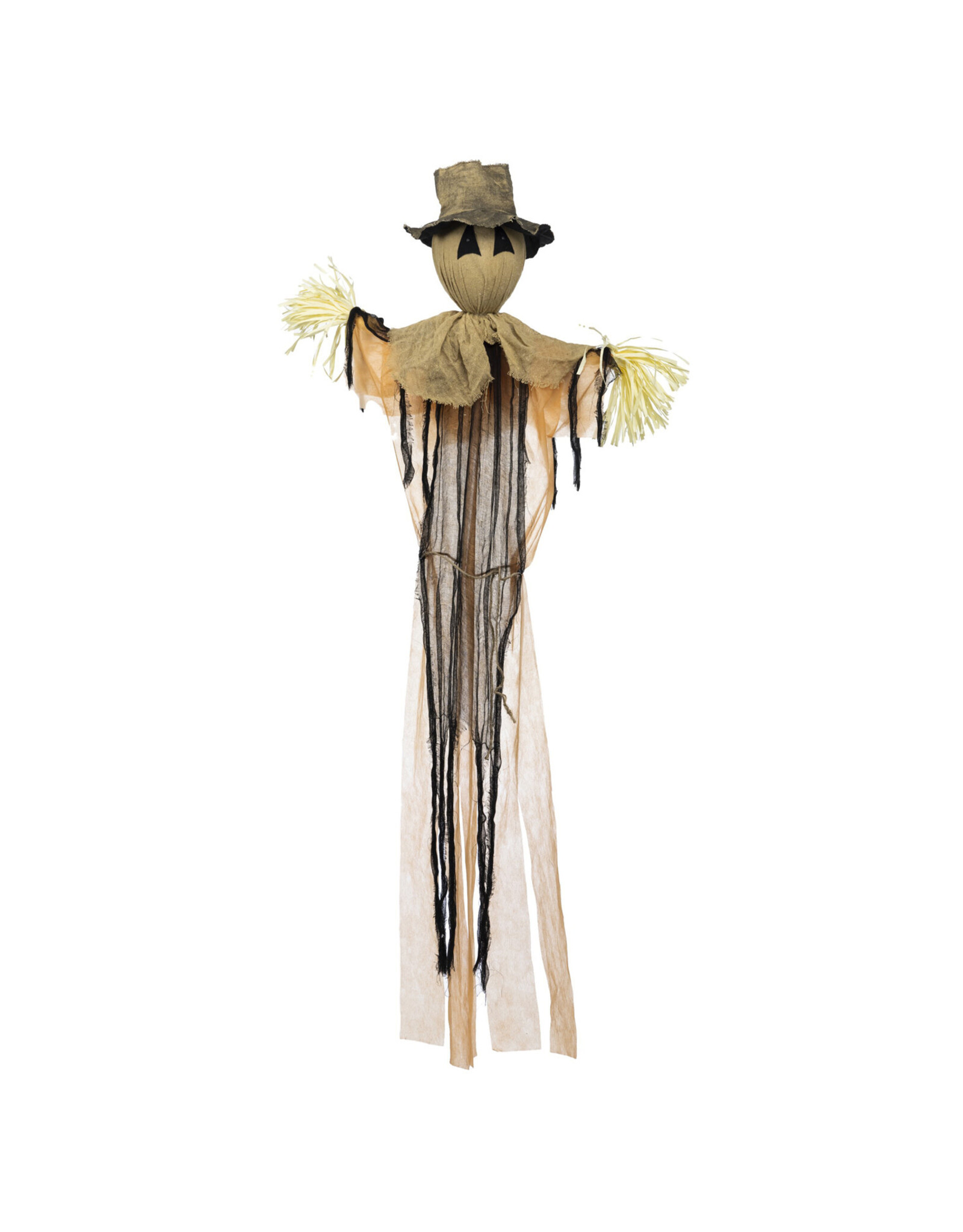 Evergreen Enterprises Spooky Scarecrow With Cold White Lights