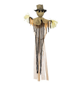 Evergreen Enterprises Spooky Scarecrow With Cold White Lights