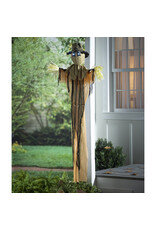 Evergreen Enterprises Spooky Scarecrow With Cold White Lights
