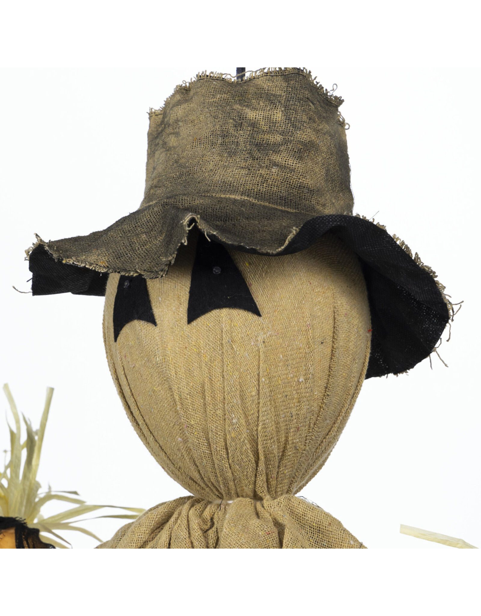 Evergreen Enterprises Spooky Scarecrow With Cold White Lights