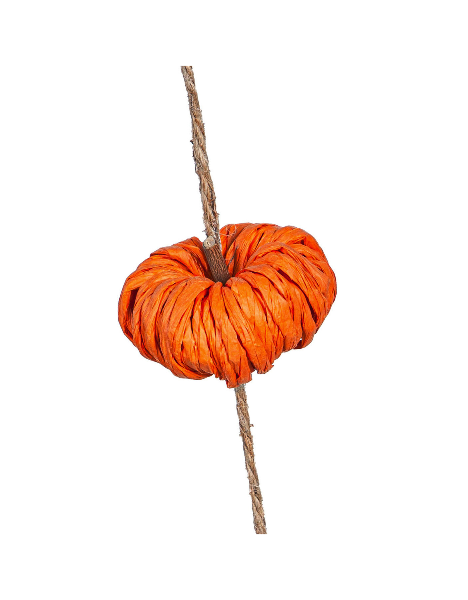 Evergreen Enterprises Paper Rope Pumpkin Garland, Orange