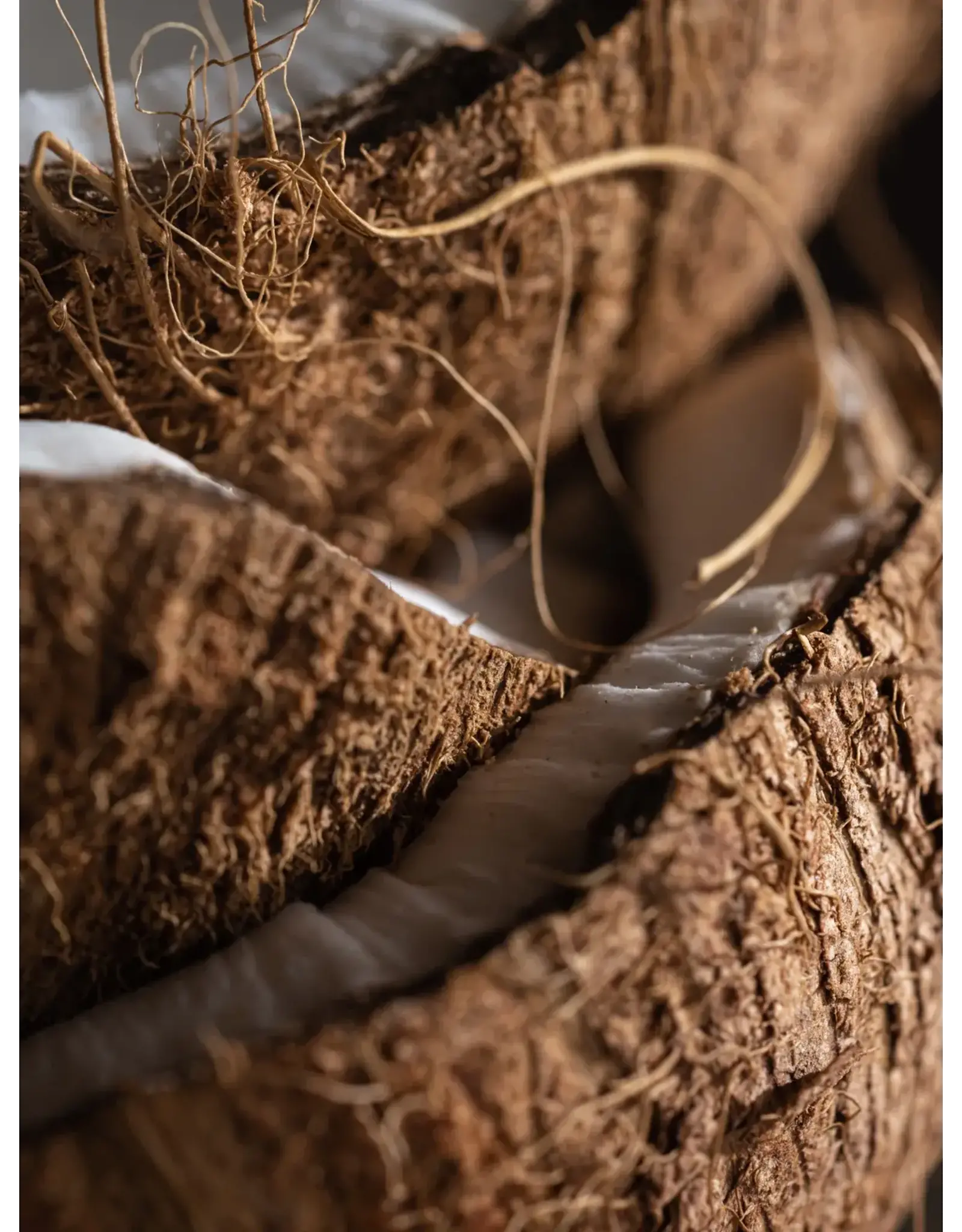 Pura Coconut Oasis Pura Diffuser Refill
