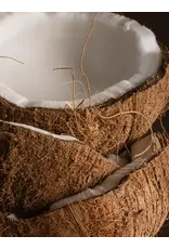 Pura Coconut Milk Mango Pura Diffuser Refill