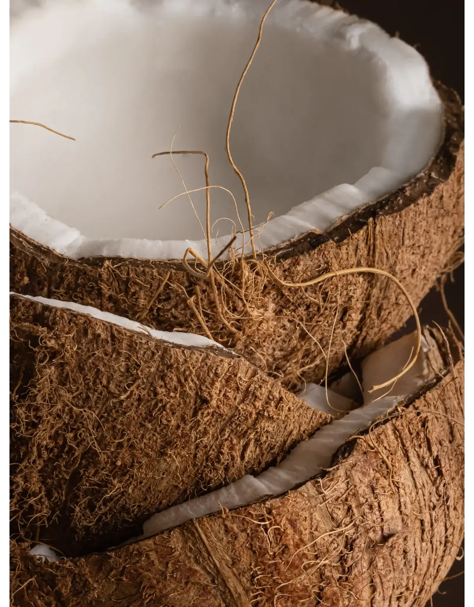 Pura Coconut Milk Mango Pura Diffuser Refill