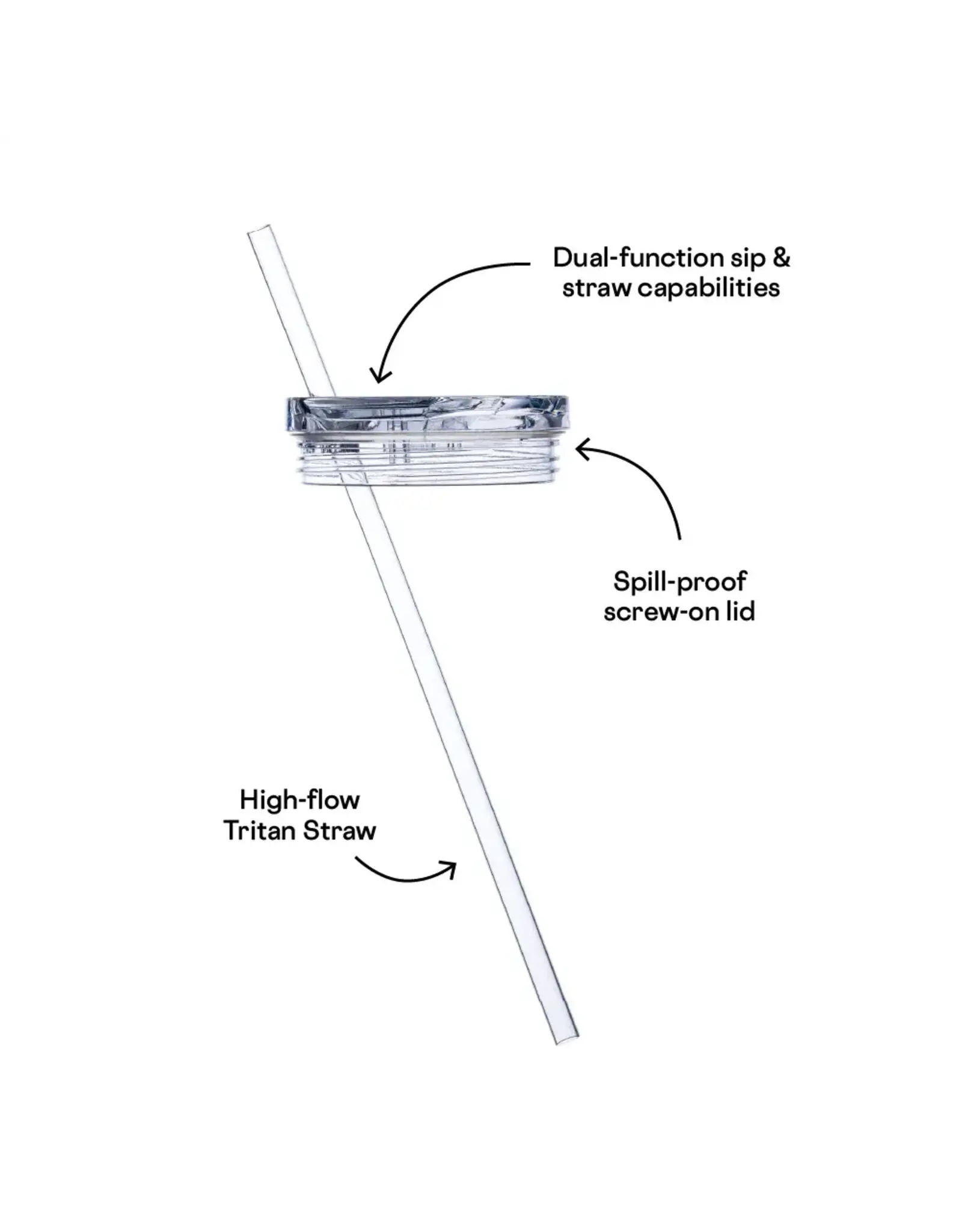 Corkcicle Cruiser - Purple Dolphin