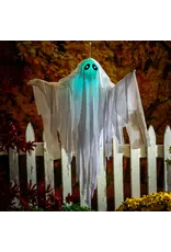Evergreen Enterprises Animated Floating Ghost w/ Color-Changing Lights